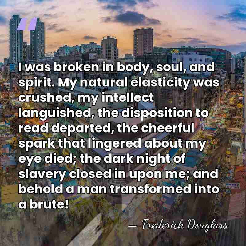 I was broken in body, soul, and spirit. My natural elasticity was&hellip; - Frederick Douglass