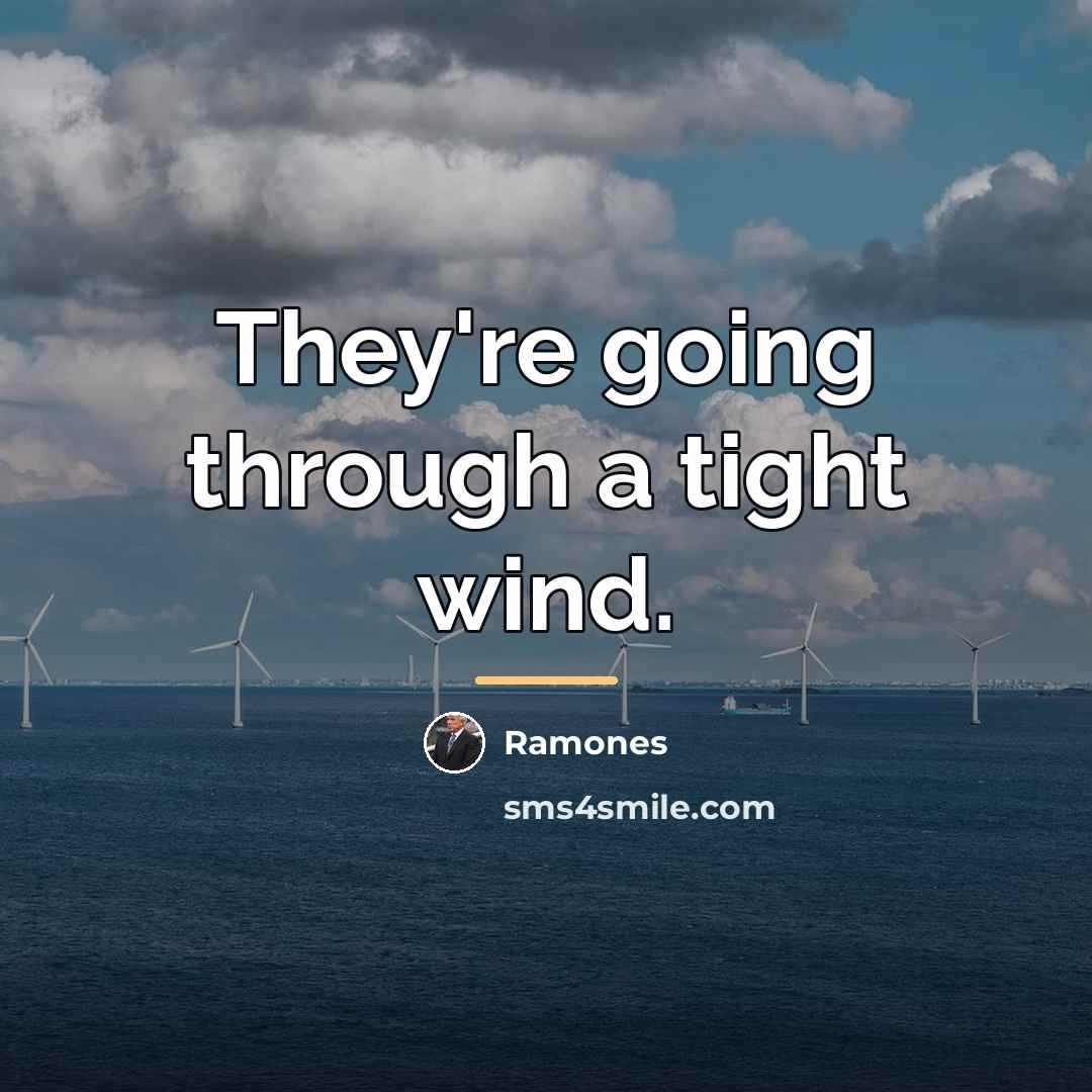 “They're going through a tight wind.…” quote by Ramones
