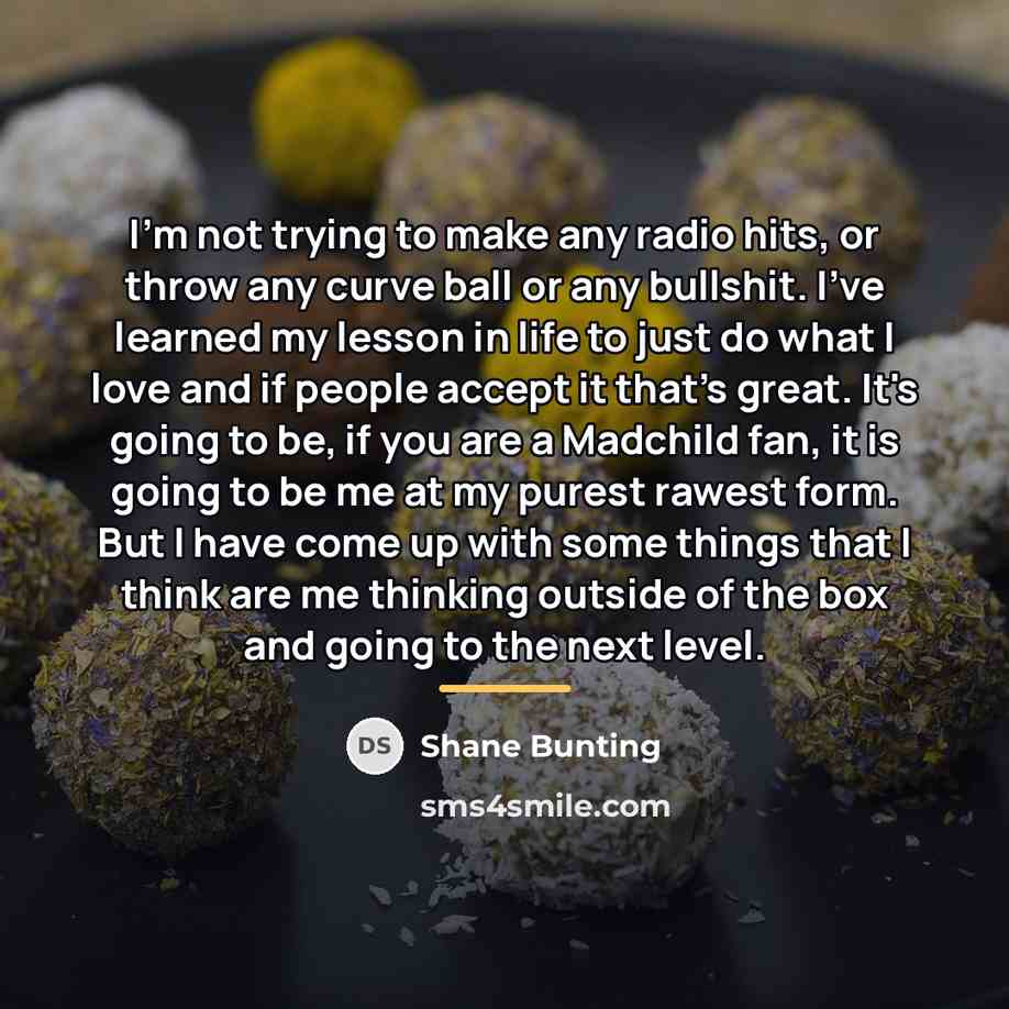 “I'm not trying to make any radio hits, or throw…” quote by Shane Bunting