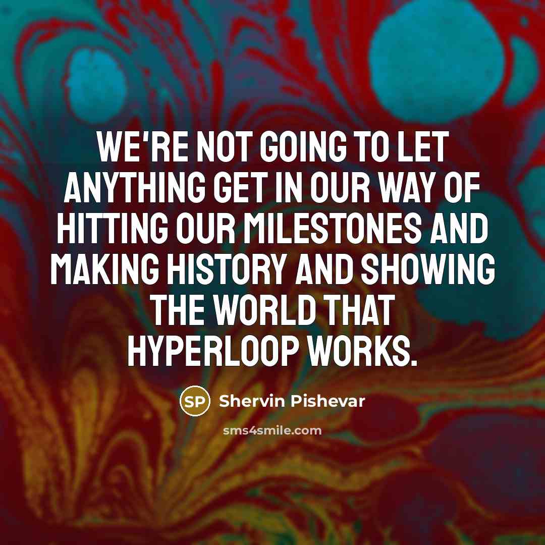 “We're not going to let anything get in our way…” quote by Shervin Pishevar