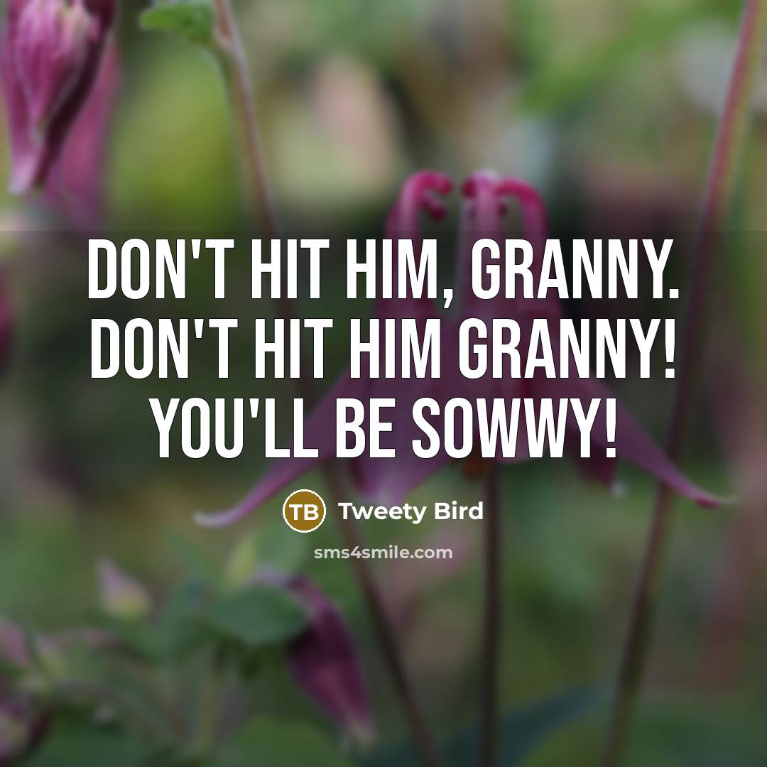 “Don't hit him, Granny. Don't hit him Granny! You'll be…” quote by Tweety Bird
