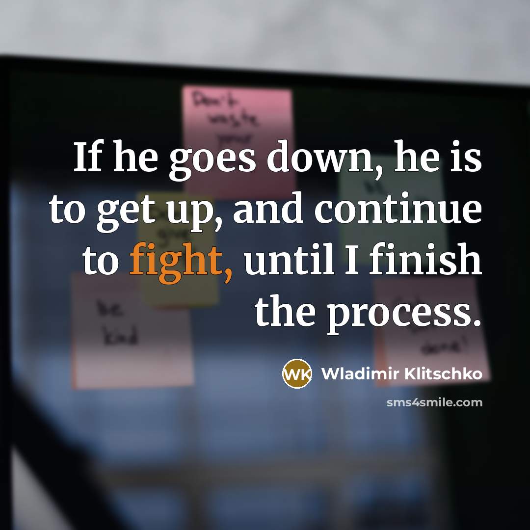 “If he goes down, he is to get up, and…” quote by Wladimir Klitschko