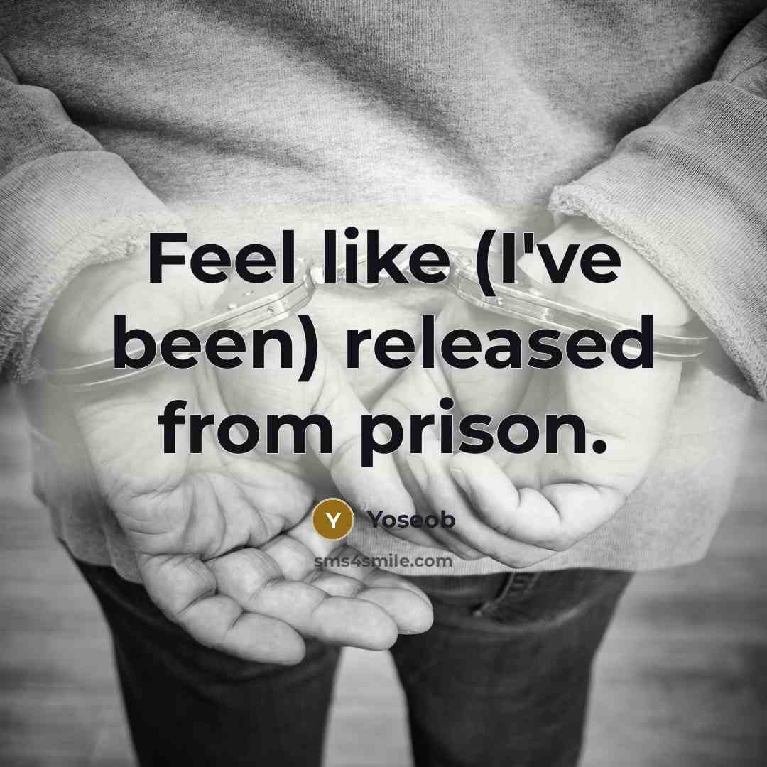 “Feel like (I've been) released from prison.…” quote by Yoseob