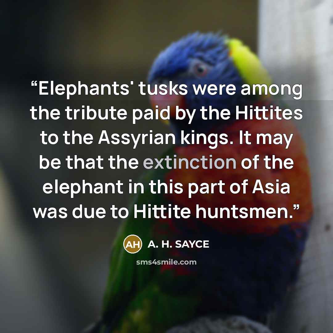“Elephants' tusks were among the tribute paid by the Hittites to the Assyrian kings. It may be that the extinction of the elephant in this part of Asia was due to Hittite huntsmen.” quote by A. H. SAYCE