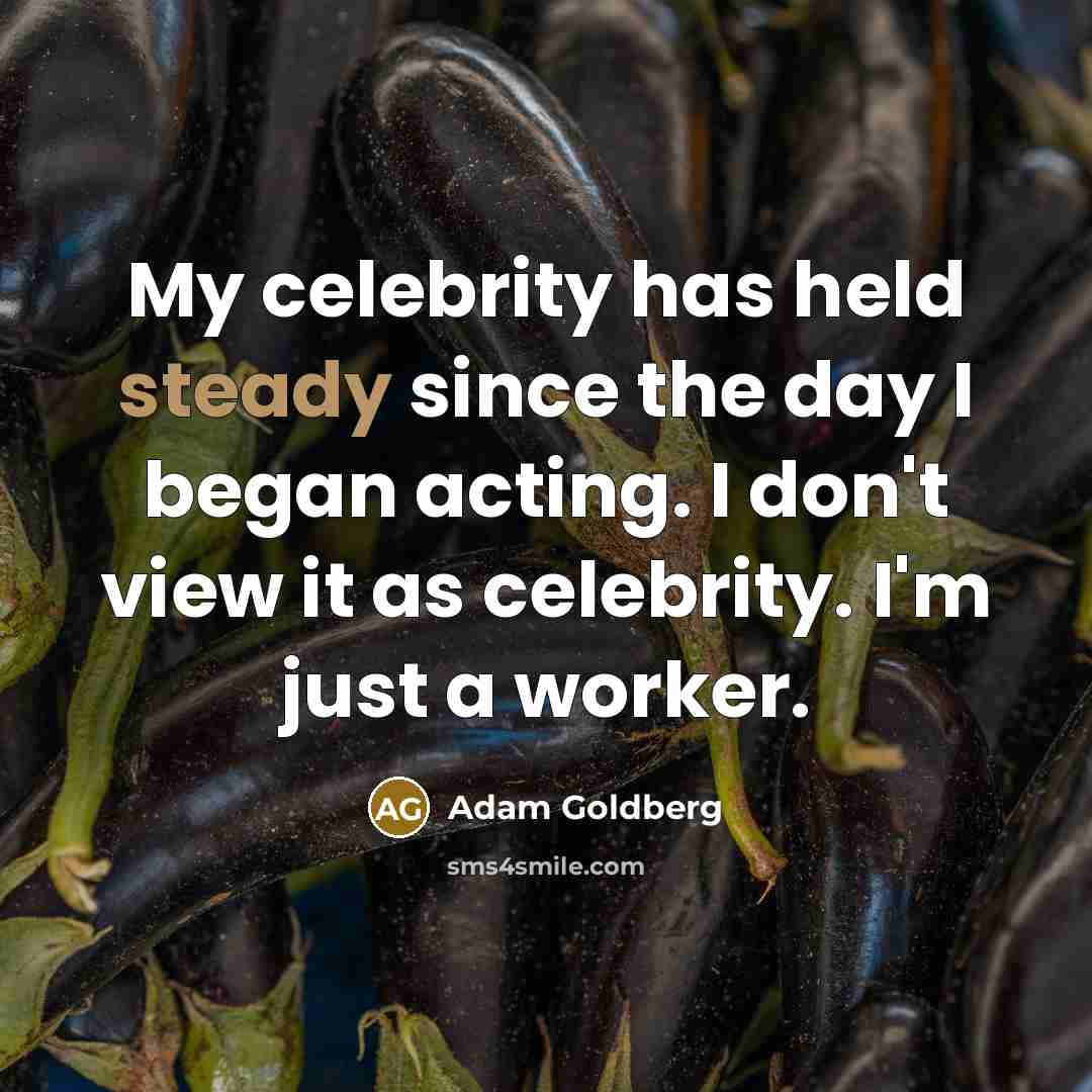 “My celebrity has held steady since the day I began…” quote by Adam Goldberg