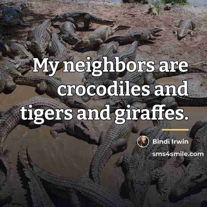 “My neighbors are crocodiles and tigers and giraffes.…” quote by Bindi Irwin