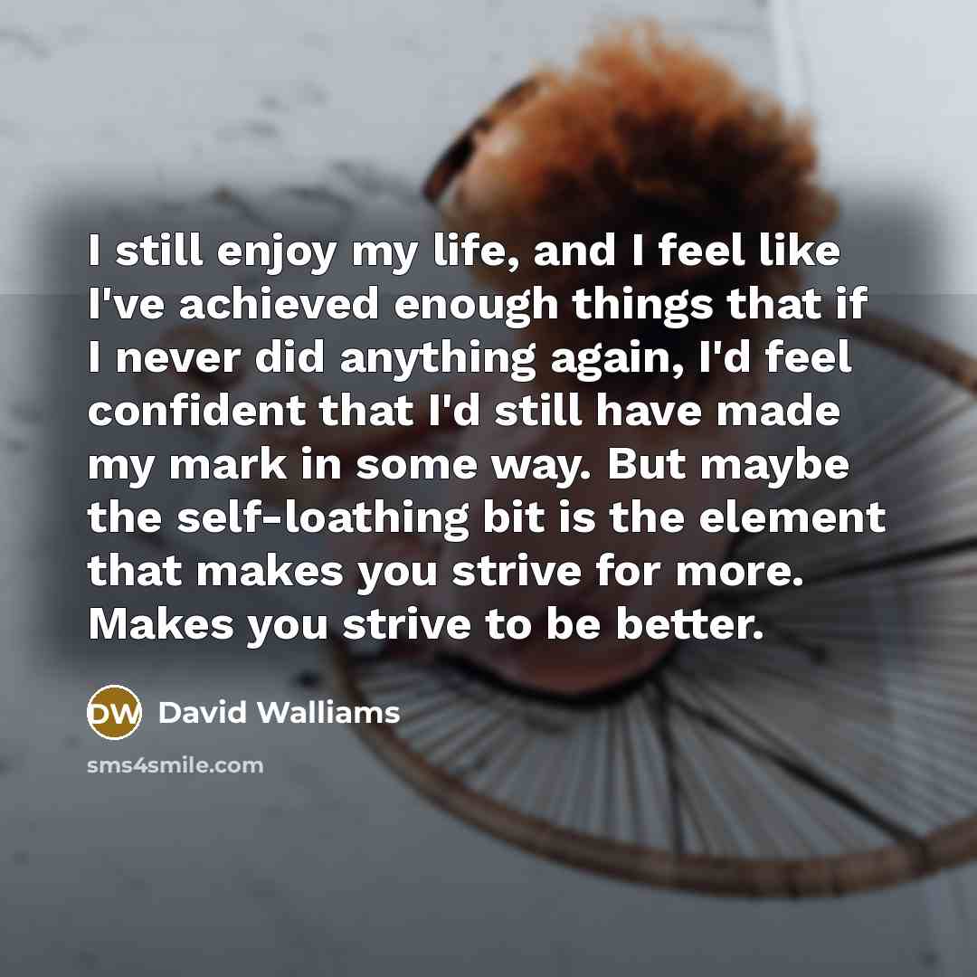 “I still enjoy my life, and I feel like I've…” quote by David Walliams