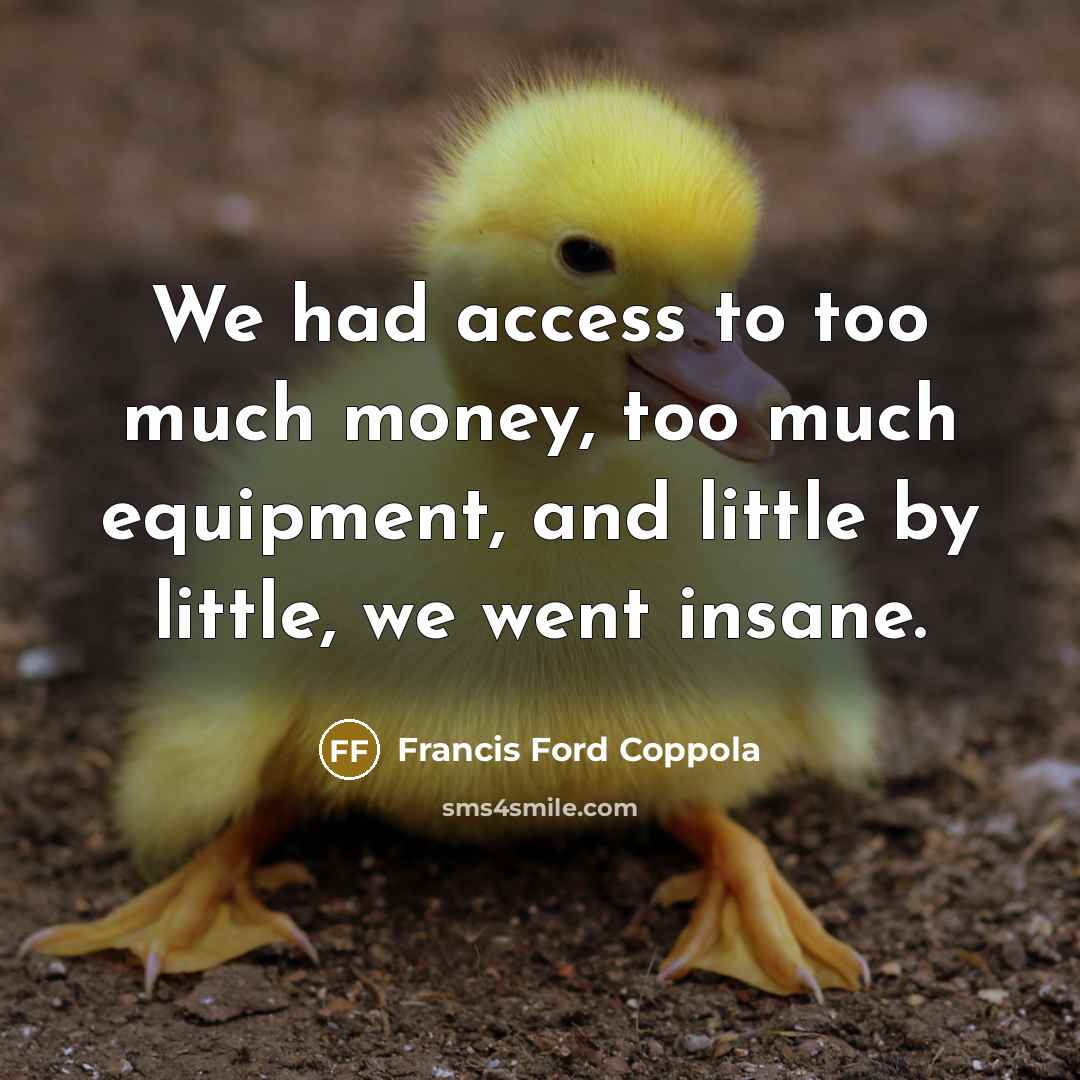 “We had access to too much money, too much equipment,…” quote by Francis Ford Coppola