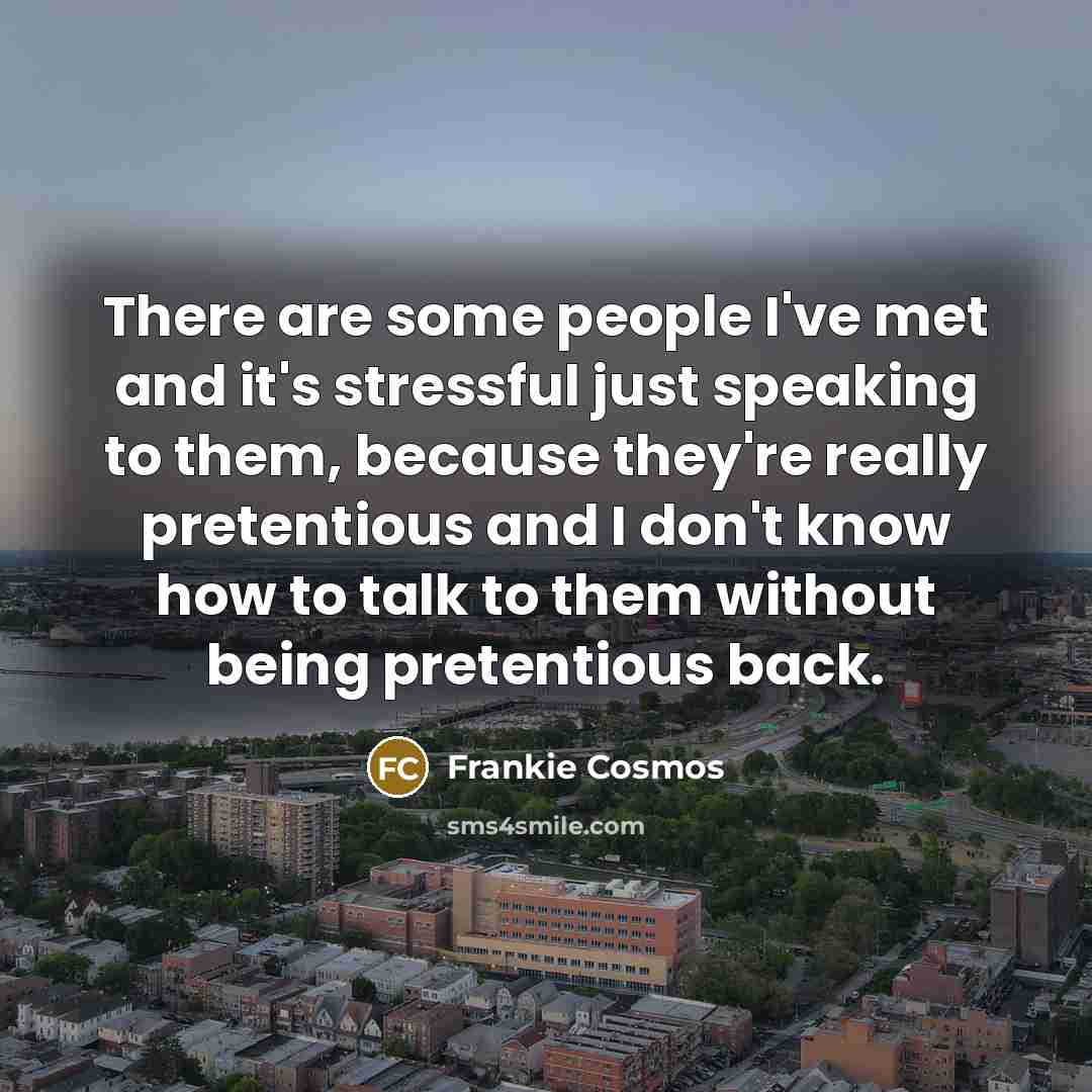 “There are some people I've met and it's stressful just…” quote by Frankie Cosmos