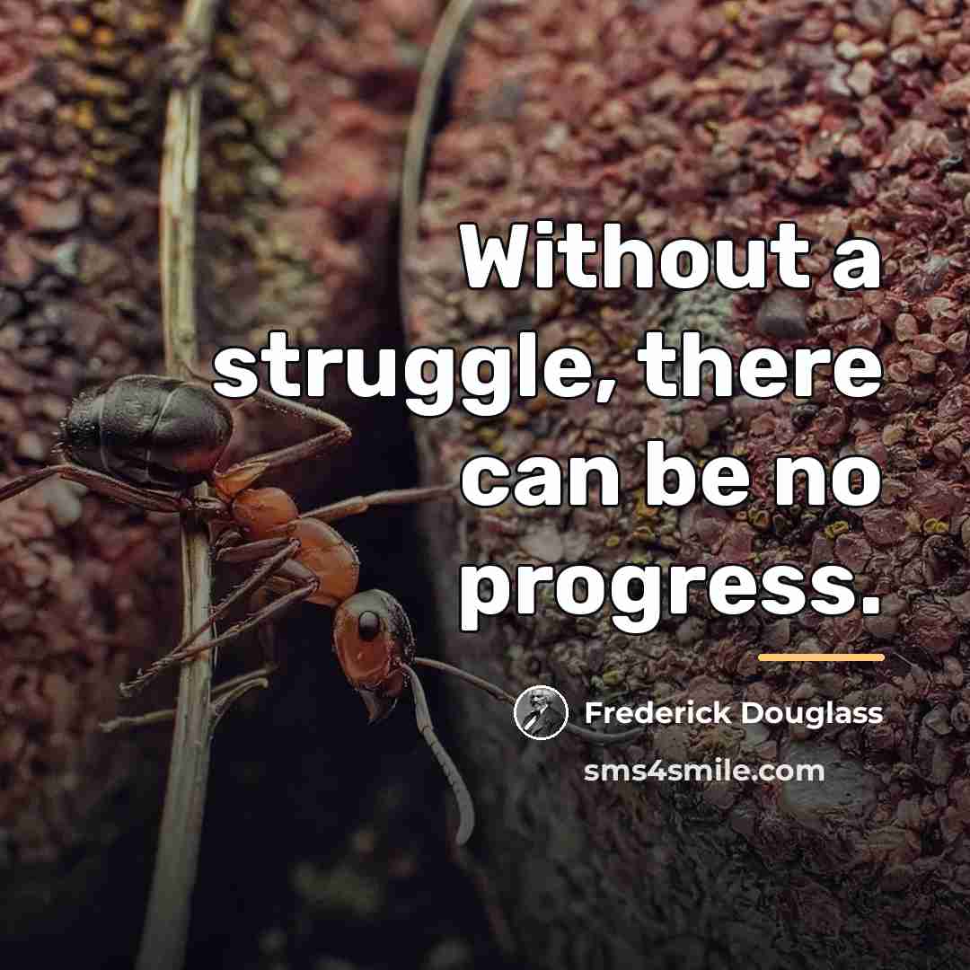 “Without a struggle, there can be no progress.…” quote by Frederick Douglass