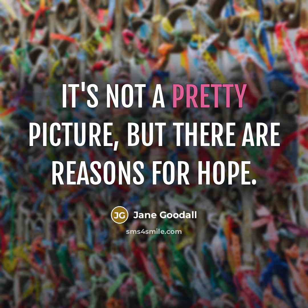 “It's not a pretty picture, but there are reasons for…” quote by Jane Goodall
