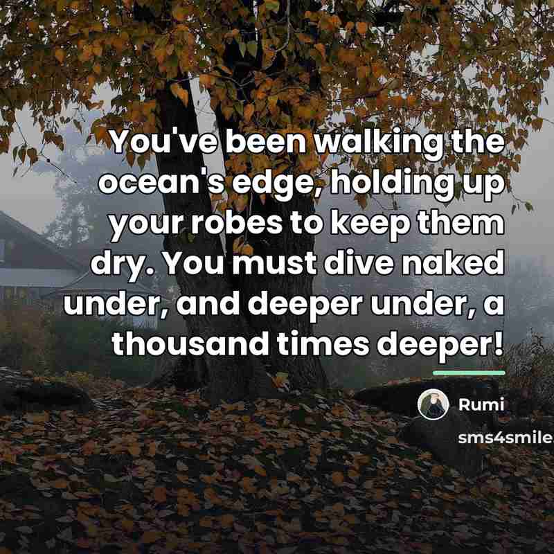 “You've been walking the ocean's edge, holding up your robes…” quote by Rumi