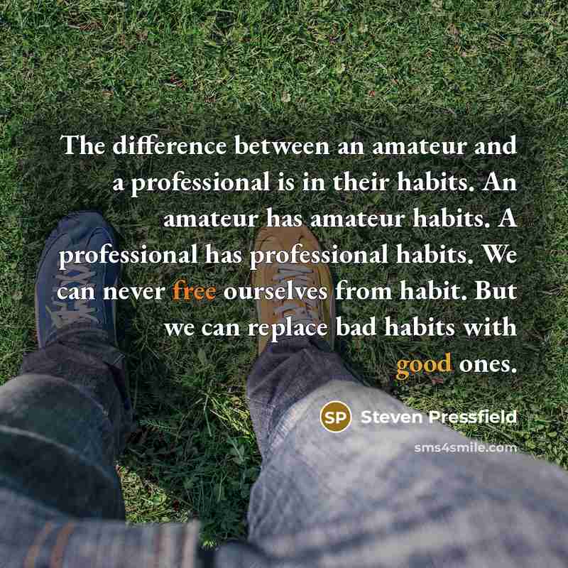“The difference between an amateur and a professional is in…” quote by Steven Pressfield