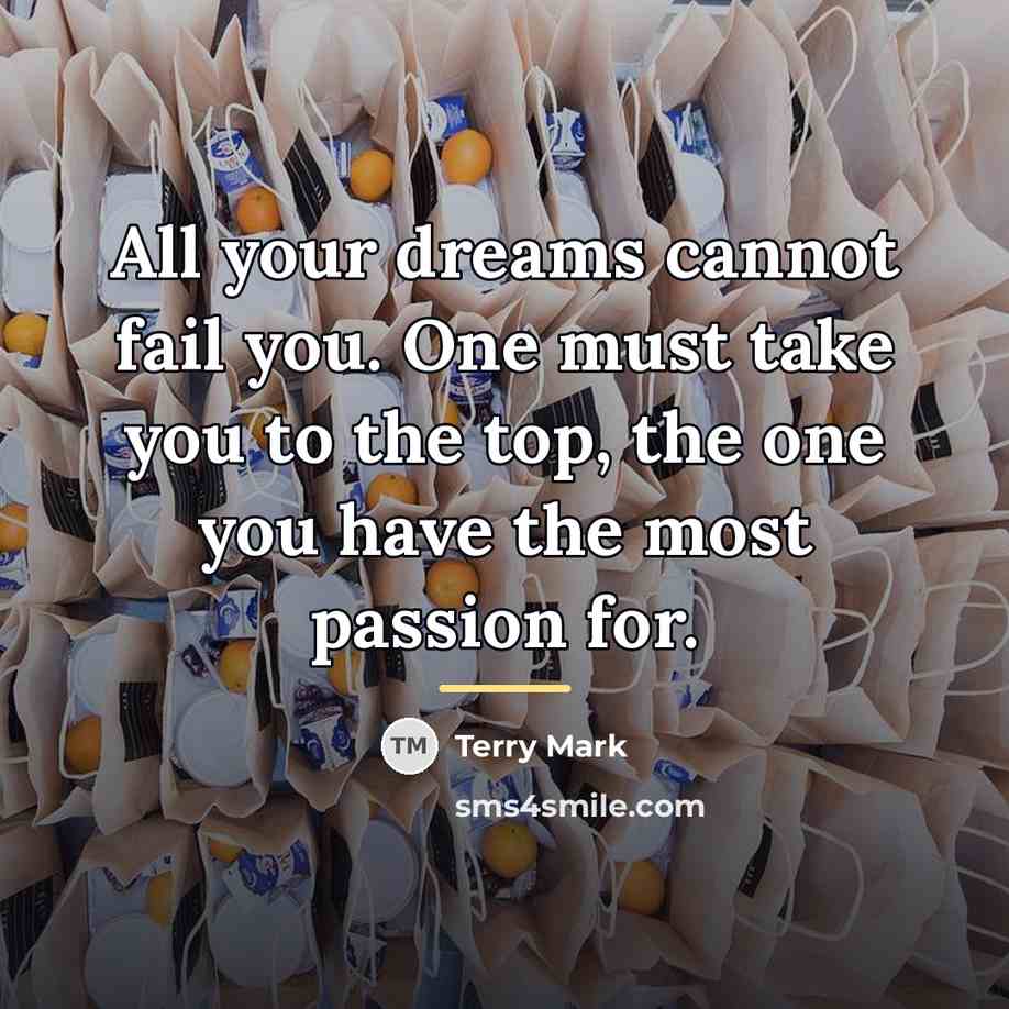 “All your dreams cannot fail you. One must take you…” quote by Terry Mark