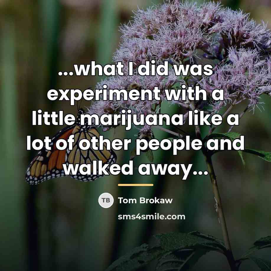 “...what I did was experiment with a little marijuana like…” quote by Tom Brokaw