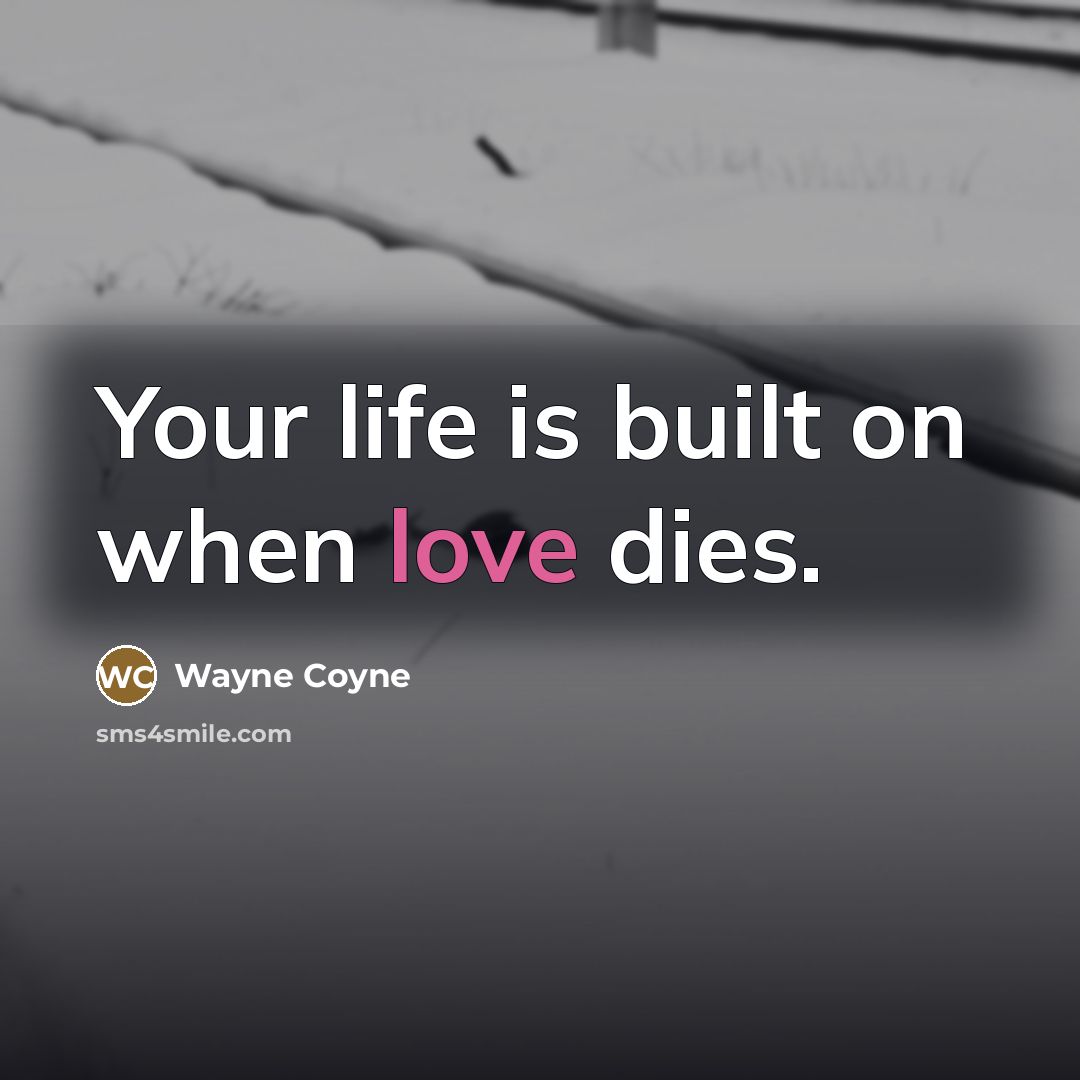 “Your life is built on when love dies.…” quote by Wayne Coyne