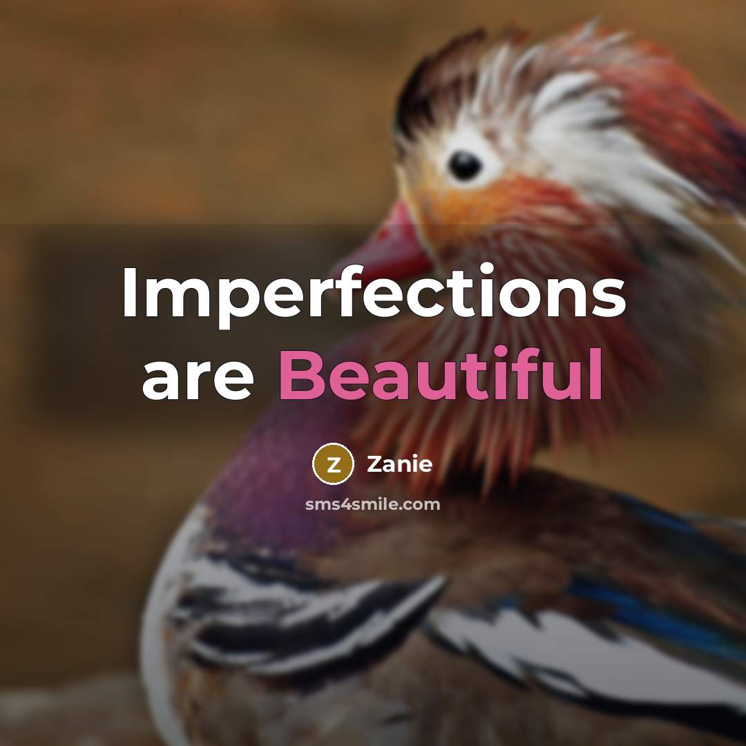 “Imperfections are Beautiful…” quote by Zanie