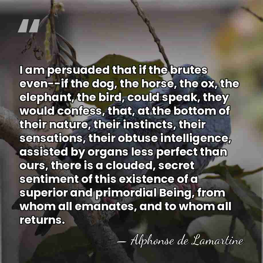 I am persuaded that if the brutes even--if the dog, the horse,&hellip; - Alphonse de Lamartine