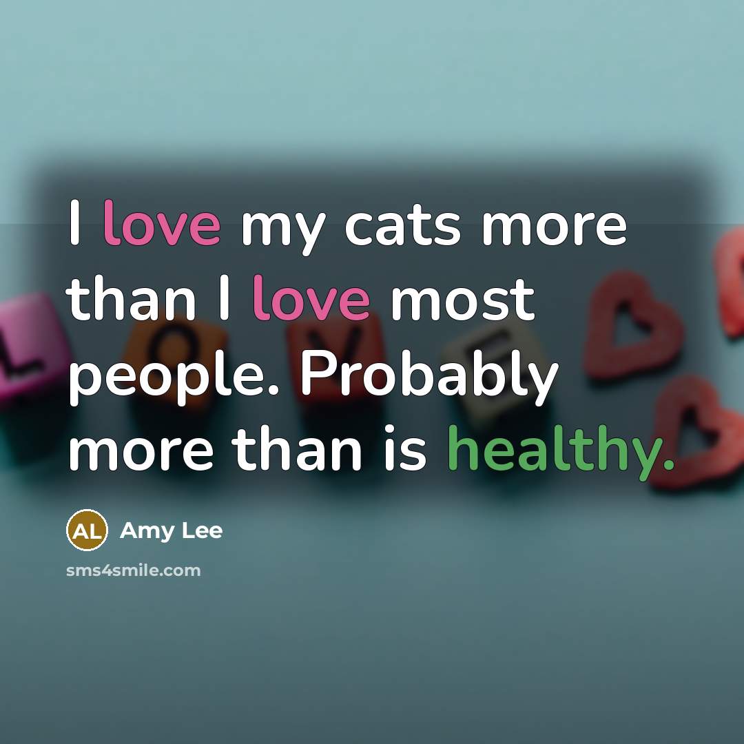 “I love my cats more than I love most people.…” quote by Amy Lee