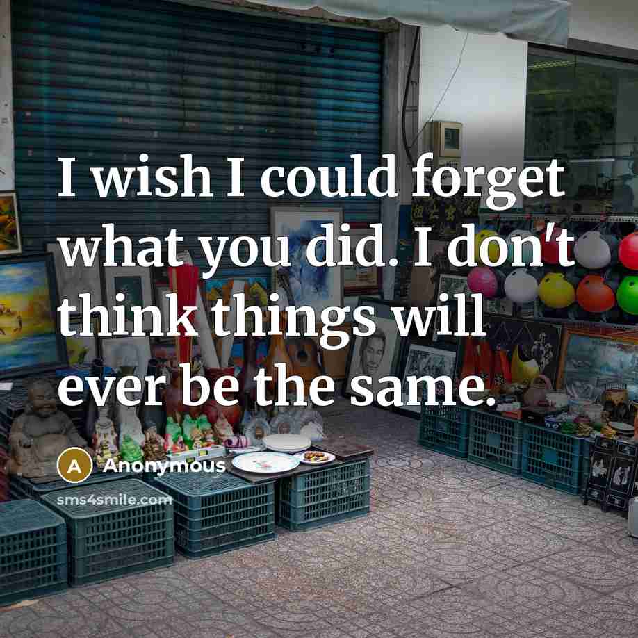 “I wish I could forget what you did. I don't think things will ever be the same.” quote by Anonymous