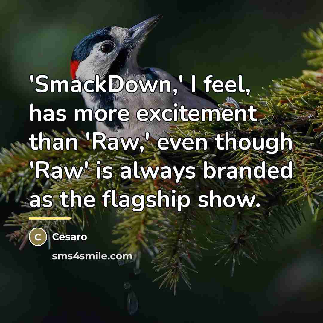 “'SmackDown,' I feel, has more excitement than 'Raw,' even though…” quote by Cesaro