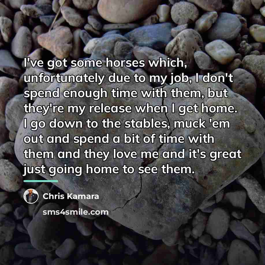 “I've got some horses which, unfortunately due to my job,…” quote by Chris Kamara