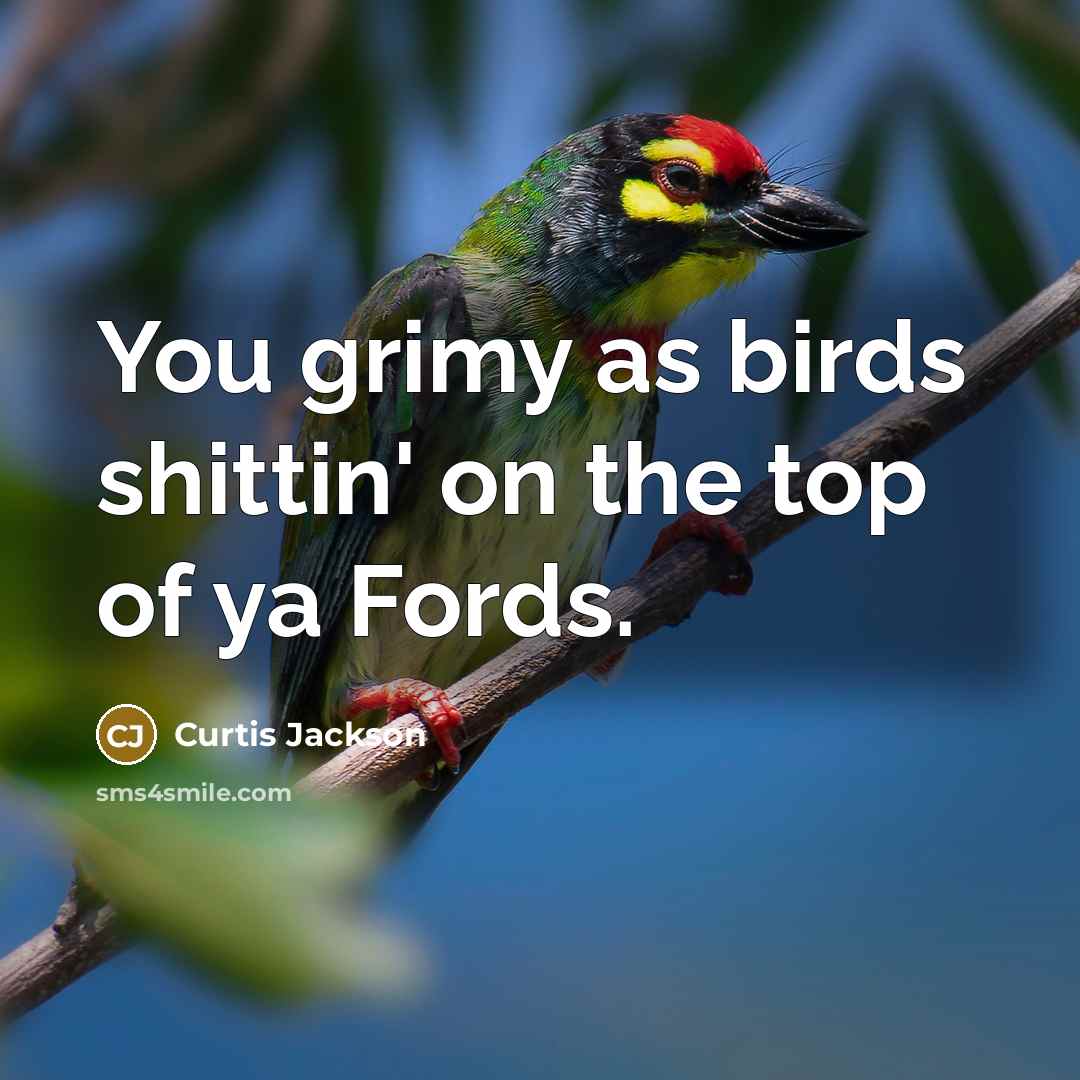 “You grimy as birds shittin' on the top of ya…” quote by Curtis Jackson