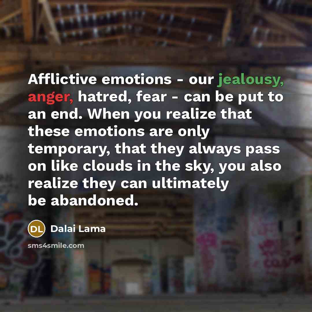 “Afflictive emotions - our jealousy, anger, hatred, fear - can…” quote by Dalai Lama