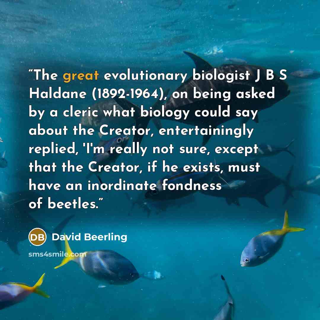 “The great evolutionary biologist J B S Haldane (1892-1964), on being asked by a cleric what biology could say about the Creator, entertainingly replied, 'I'm really not sure, except that the Creator, if he exists, must have an inordinate fondness of beetles.” quote by David Beerling