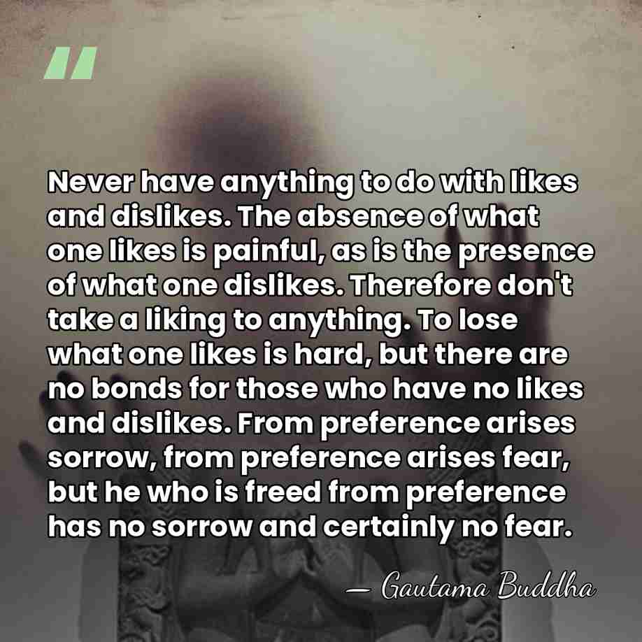 Never have anything to do with likes and dislikes. The absence of&hellip; - Gautama Buddha
