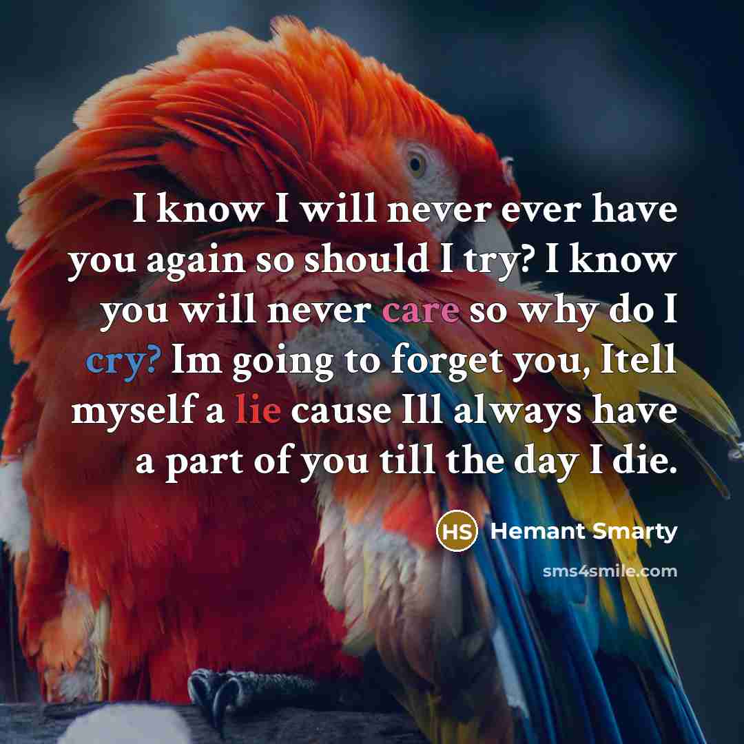 “I know I will never ever have you again so should I try? I know you will never care so why do I cry? Im going to forget you, Itell myself a lie cause Ill always have a part of you till the day I die.” quote by Hemant Smarty