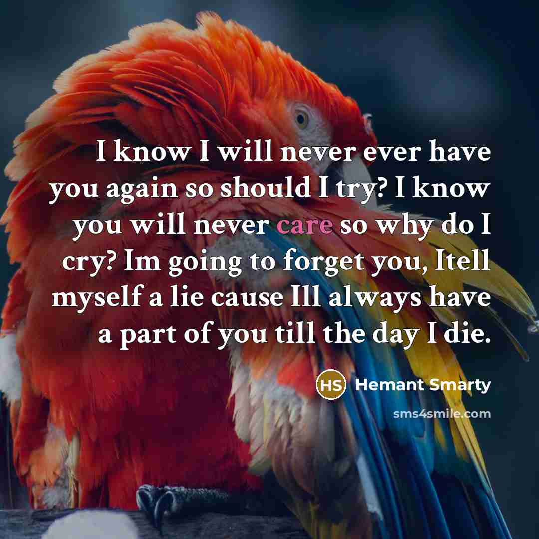 “I know I will never ever have you again so…” quote by Hemant Smarty