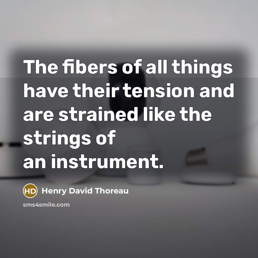 “The fibers of all things have their tension and are…” quote by Henry David Thoreau