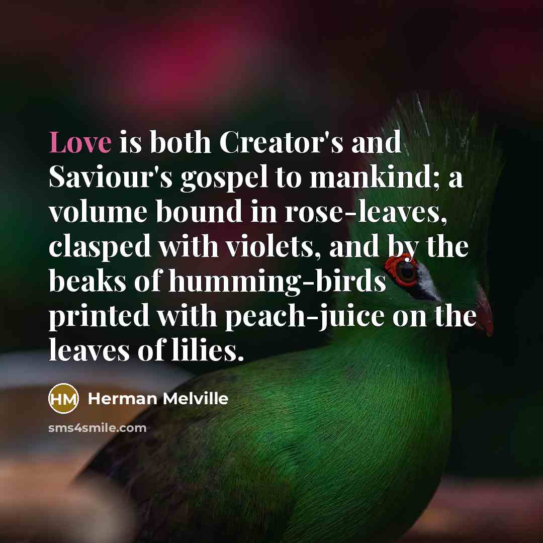 “Love is both Creator's and Saviour's gospel to mankind; a…” quote by Herman Melville