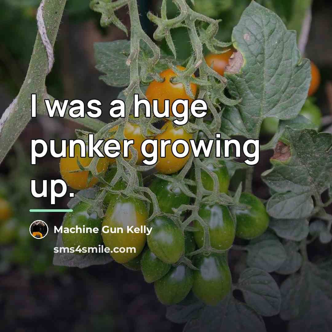 “I was a huge punker growing up.…” quote by Machine Gun Kelly