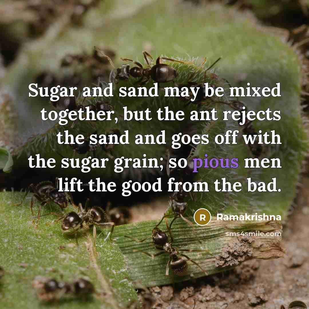 “Sugar and sand may be mixed together, but the ant…” quote by Ramakrishna