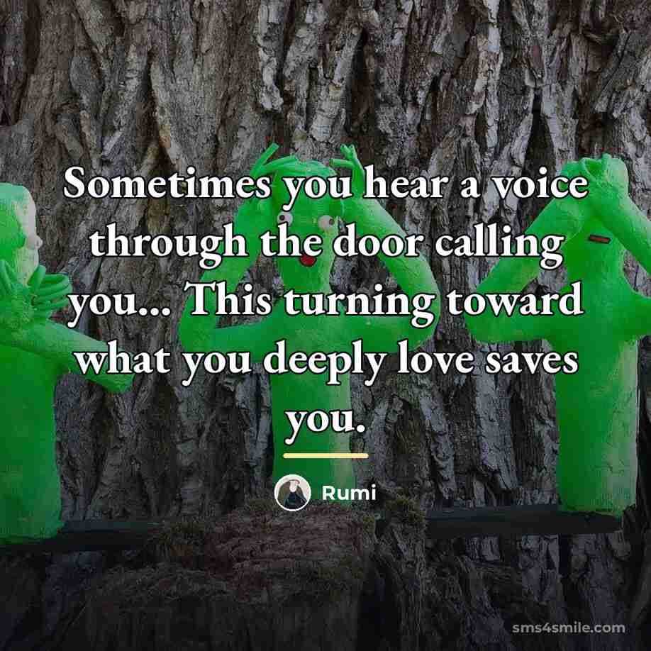 “Sometimes you hear a voice through the door calling you...…” quote by Rumi