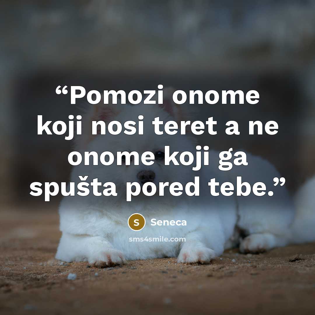 “Pomozi onome koji nosi teret a ne onome koji ga spušta pored tebe.” quote by Seneca