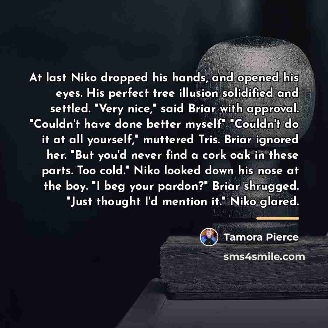 “At last Niko dropped his hands, and opened his eyes.…” quote by Tamora Pierce