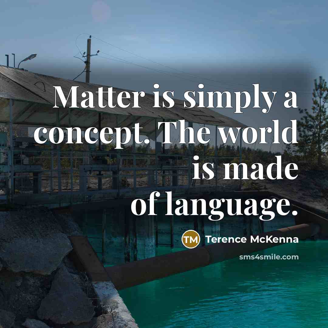 “Matter is simply a concept. The world is made of…” quote by Terence McKenna