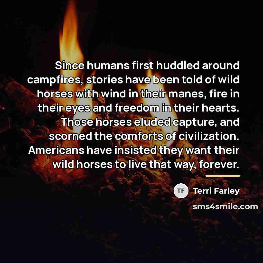“Since humans first huddled around campfires, stories have been told…” quote by Terri Farley