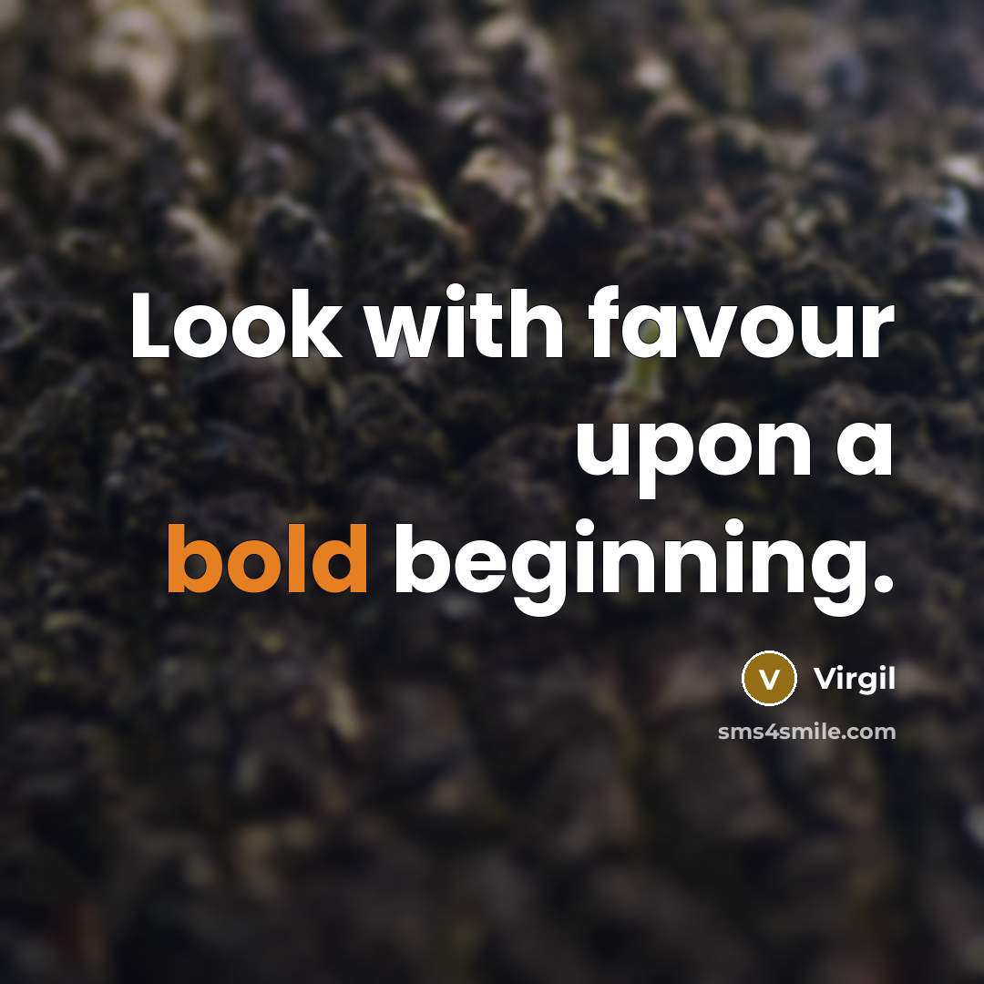 “Look with favour upon a bold beginning.” quote by Virgil