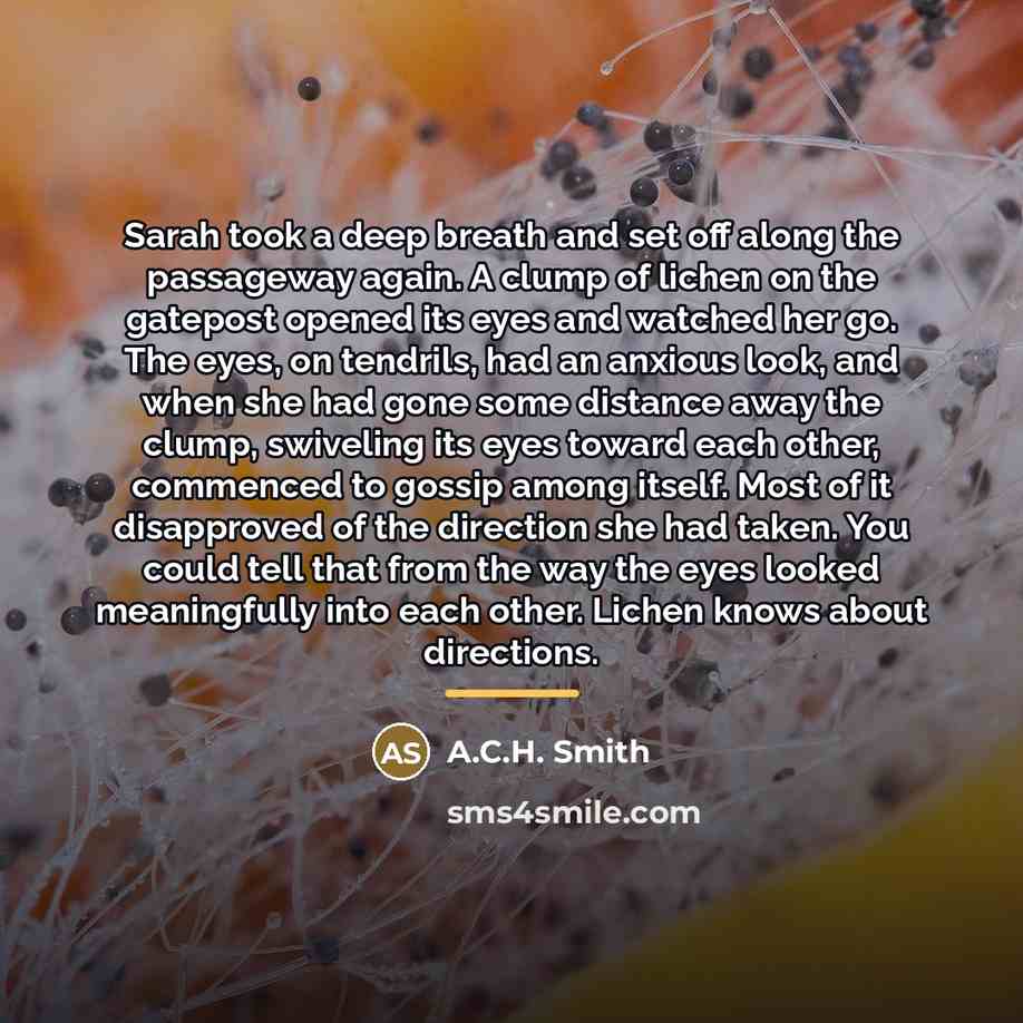 “Sarah took a deep breath and set off along the…” quote by A.C.H. Smith