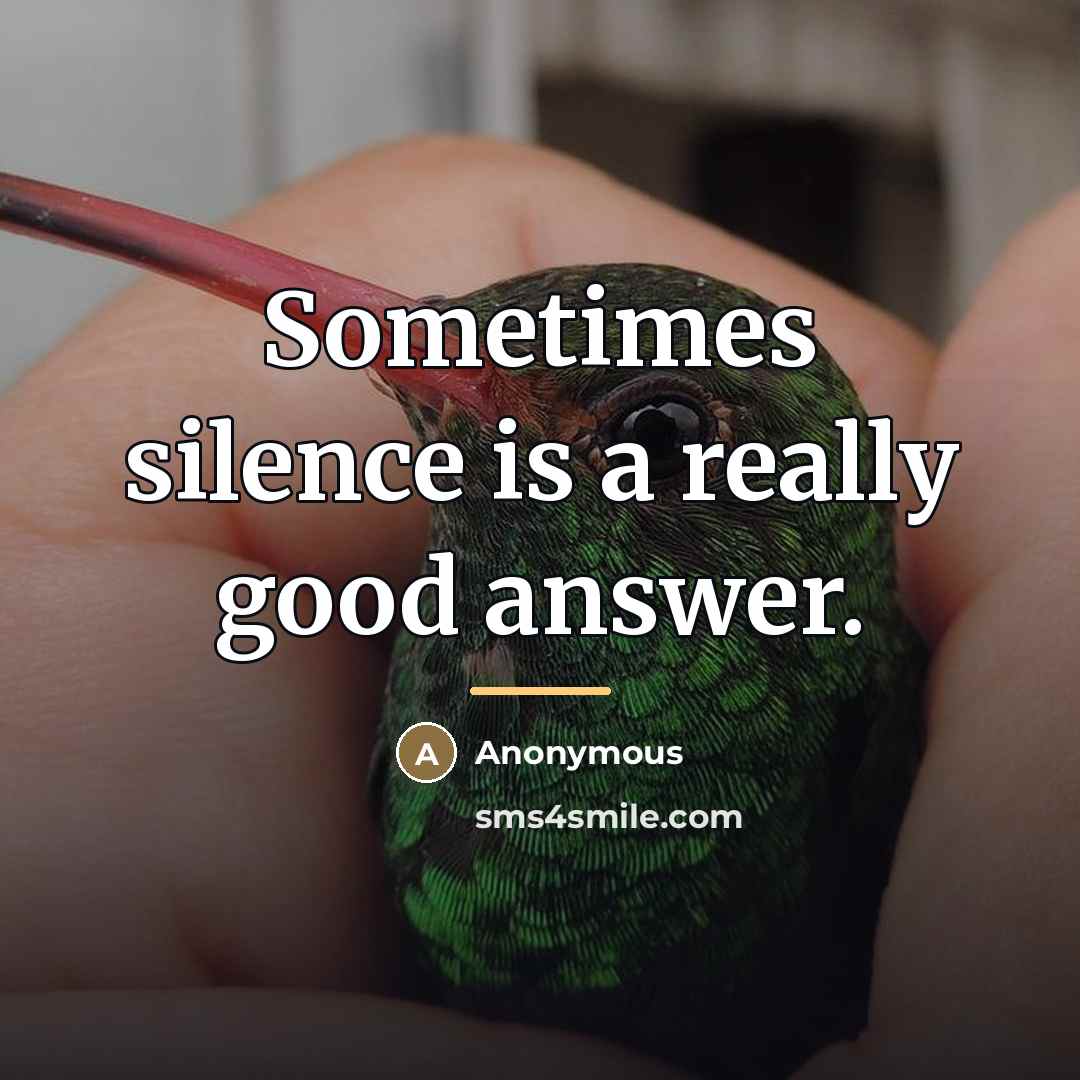 “Sometimes silence is a really good answer.…” quote by Anonymous
