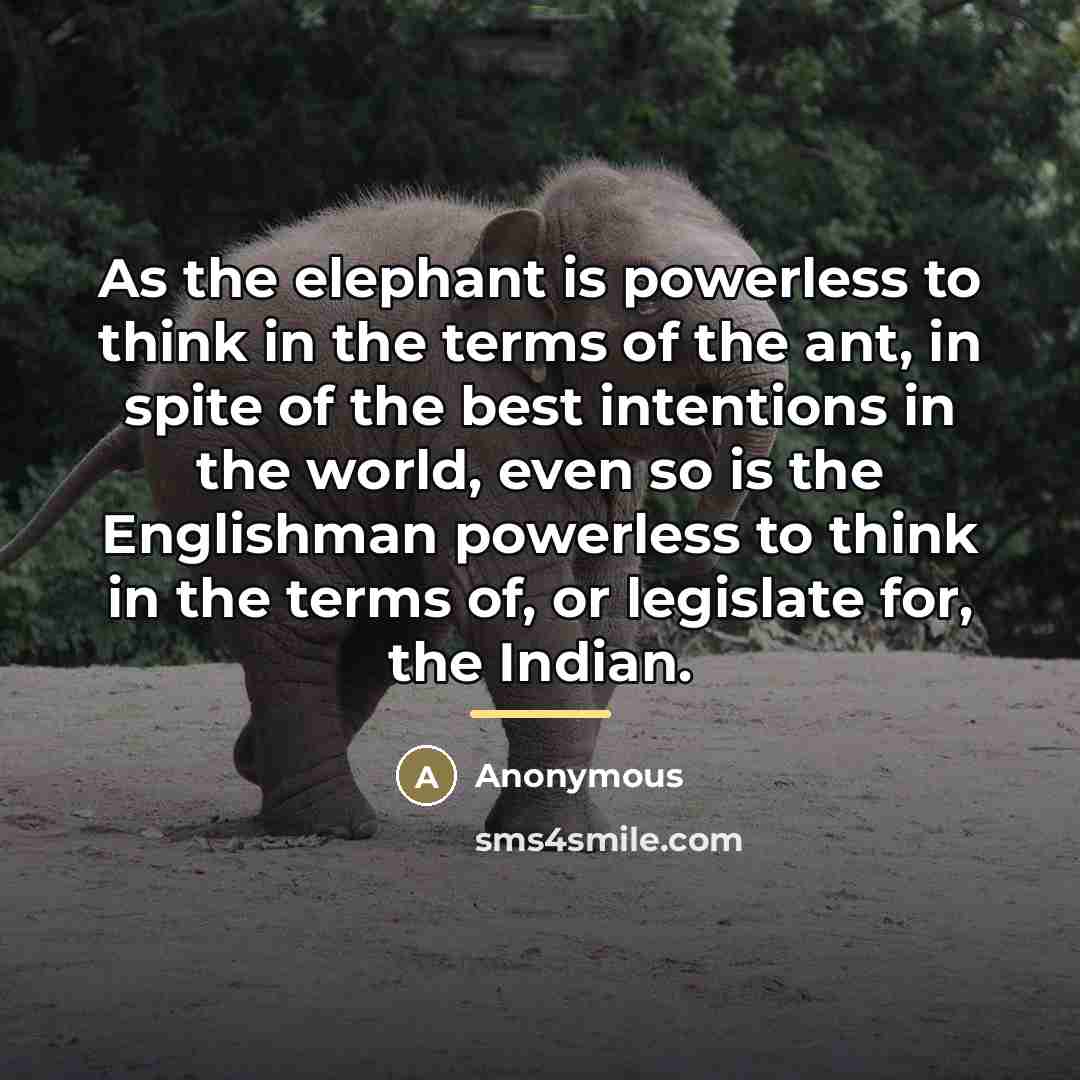 “As the elephant is powerless to think in the terms…” quote by Anonymous