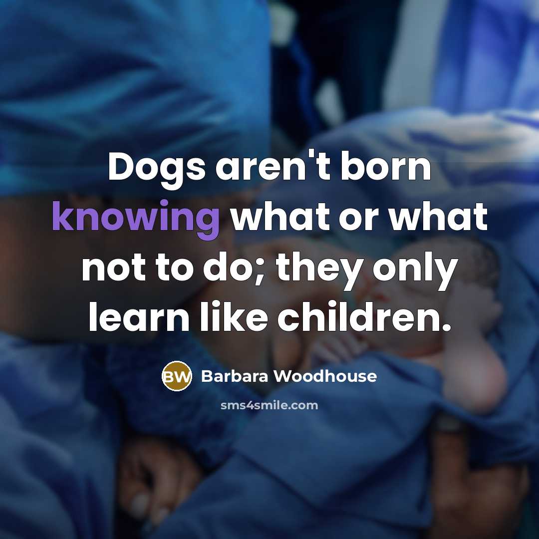 “Dogs aren't born knowing what or what not to do;…” quote by Barbara Woodhouse