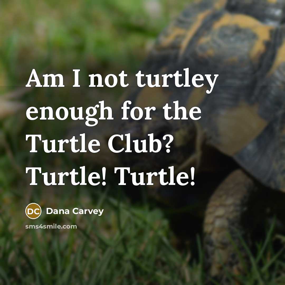 “Am I not turtley enough for the Turtle Club? Turtle! Turtle!” quote by Dana Carvey