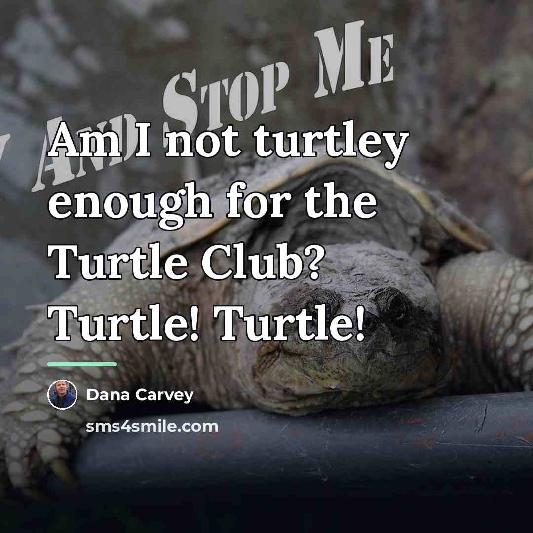 “Am I not turtley enough for the Turtle Club? Turtle!…” quote by Dana Carvey