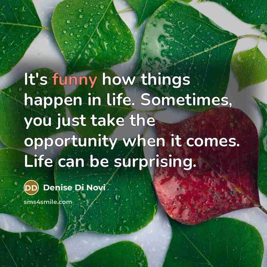 “It's funny how things happen in life. Sometimes, you just…” quote by Denise Di Novi