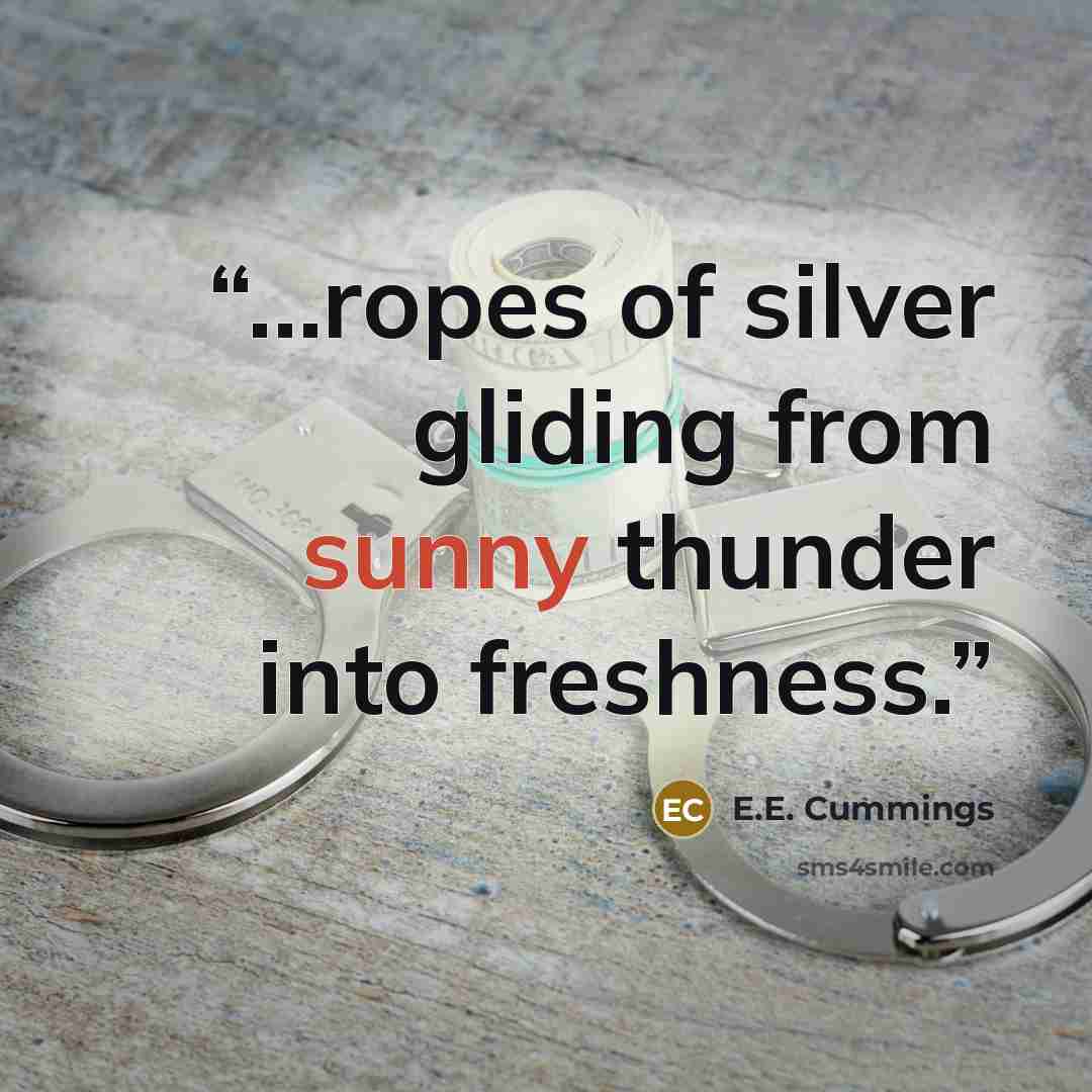 “...ropes of silver gliding from sunny thunder into freshness.” quote by E.E. Cummings